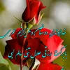 mirvaissedaqhatarmani