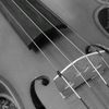 buzzy_bee_thoven