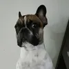 eumemso