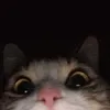 zhenger_06