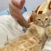 hi.imurboo