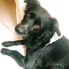 www.tiktokluck