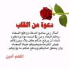 user246483954
