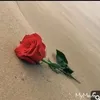 dyr3c37d7prg