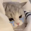 plsbebong06