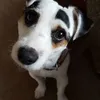 garymills101
