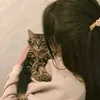 dyxvtzjy26f8