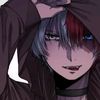 fd_todoroki