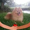 graziellagimmy