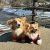 ruby_furby_corgifluffy