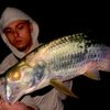 lunkers_leo
