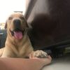 hellocanunot