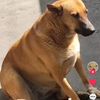 oscarfloresfofo