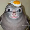 kikousek_0