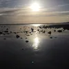 indiearab