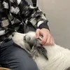 thbfhmn