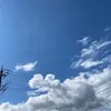 mosamaru_0914