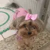 marciamartins0910