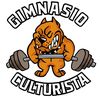 gimnasioculturista738