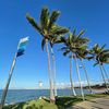dl_23qld