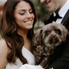 nikkianddjthepartiyorkie