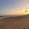 natafranco25