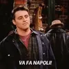 vafanapolii_