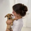 ninaceccon