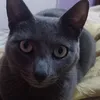 lamimi_73