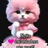 user76860466