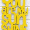 you_r_mysunshine21