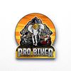 PRO BIKER Motorsport MM