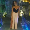 rosaparente2