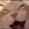 ttswify