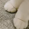 tymt87