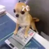 alejandroduarte1