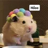 hng.ni.thch.revie8