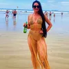 vanessaborges708