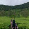 qurrotaaa24