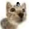 yobtww