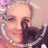 empirefrenchbulldogs