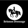 brionesdressage1