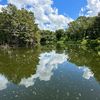 wish4fishin