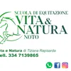 tizianahorse