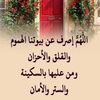 amly04