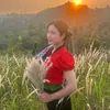 mai.dieuu