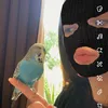 wrightyyyyy1