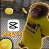 _bully.cc