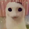 juline_prv3