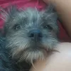 hhnnaa_05